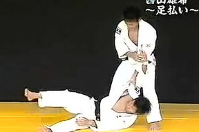 柔道视频,从视频中汲取的力量与智慧