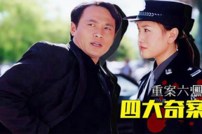 国产破案电视剧,国产剧中的破案传奇