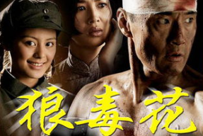狼毒花电视剧,烽火岁月里的英雄传奇
