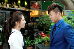 御姐归来 电视剧全集